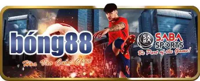 Chuyên nghiệp và Tận tâm